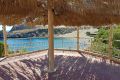 Mare Co Topi Premium 7