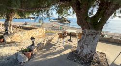 Luxus Strandbungalow Salvya Typ A