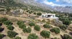 Bungalow Viada Blanco