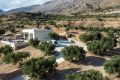 Bungalow Viada Blanco