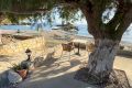 Luxus Strandbungalow Salvya Typ A