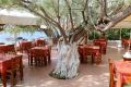 Restaurant in Plakias