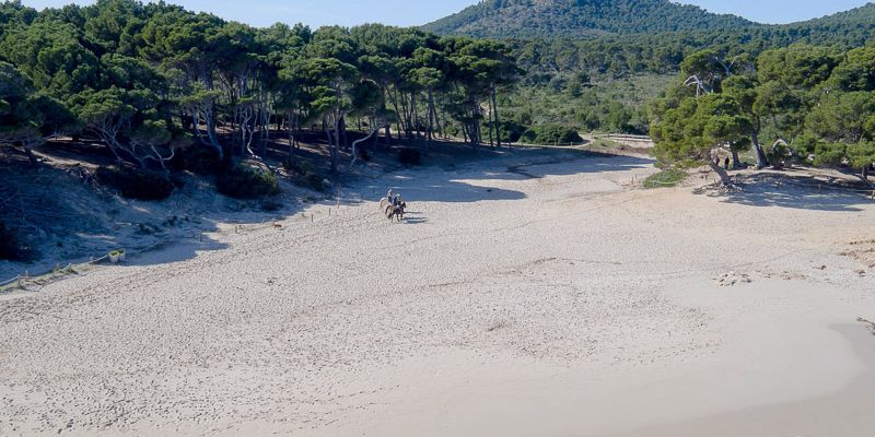 Reiten auf Mallorca