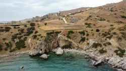 Mare Co Topi 1