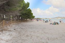 Boscuplaya