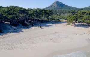 Reiten auf Mallorca