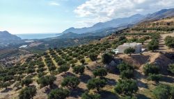 Bungalow Viada2 Blue